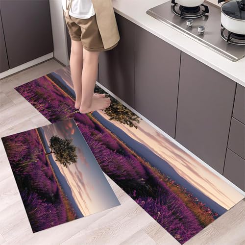 MLSOWM 2 Stück Küchenteppich Waschbar Sonnenuntergang im Lavendelfeld Küchenläufer Provence-Felder mit Rutschfestem Küche Bodenmatte Absorbierende Läufer Teppich 44x75cm+44x150cm Dunkelviolett MLSOWM 2 Stück Küchenteppich Waschbar Sonnenuntergang im Lavendelfeld Küchenläufer Provence-Felder mit Rutschfestem Küche Bodenmatte Absorbierende Läufer Teppich 44x75cm+44x150cm Dunkelviolett von MLSOWM