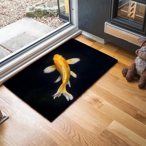 MLSOWM Fußmatte Alter Teich, Sauberlaufmatte Goldener Koi, Rutschfester Türmatte Innen 40 x 60 cm, Waschbar Fussmatte, pflegeleicht robust Fußabtreter für Haustür, Eingang - Schwarz von MLSOWM