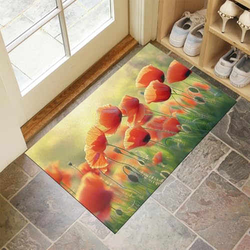 MLSOWM Fußmatte Frühlingsgarten, Wetterfeste Schmutzfangmatte Mohnfelder mit Rutschfester Rückseite für Innen & Außenbereich Türmatte für Eingang Haustür Flur, 60 x 90 cm, Grün von MLSOWM