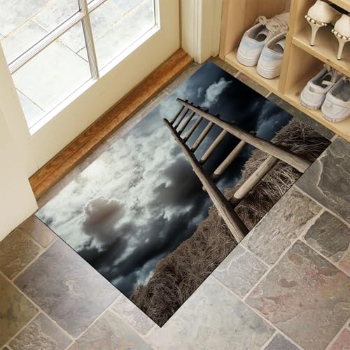 MLSOWM Fussmatte Innen 60 x 120 cm, Himmelsleiter Aus Holz rutschfest Fußmatte Fantasie Dunkle Wolken Waschbar Schmutzfangmatte Dünn Türmatte Saugstarke Eingangsteppich für Innenbereich - Grau MLSOWM Fussmatte Innen 60 x 120 cm, Himmelsleiter Aus Holz rutschfest Fußmatte Fantasie Dunkle Wolken Waschbar Schmutzfangmatte Dünn Türmatte Saugstarke Eingangsteppich für Innenbereich - Grau von MLSOWM