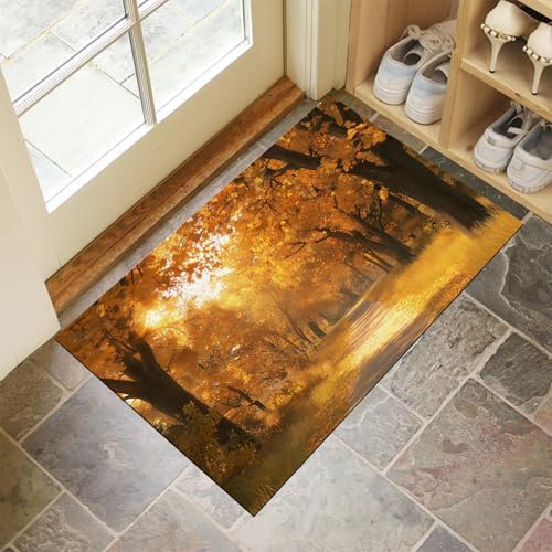 MLSOWM Schmutzfangmatte 50 x 80 cm, Waldwege Fussmatte Innen rutschfeste & Waschbar Herbstlandschaft Fußmatte Sauberlaufmatte für Haustür, Flur und Eingangsbereich - Kurkuma MLSOWM Schmutzfangmatte 50 x 80 cm, Waldwege Fussmatte Innen rutschfeste & Waschbar Herbstlandschaft Fußmatte Sauberlaufmatte für Haustür, Flur und Eingangsbereich - Kurkuma von MLSOWM