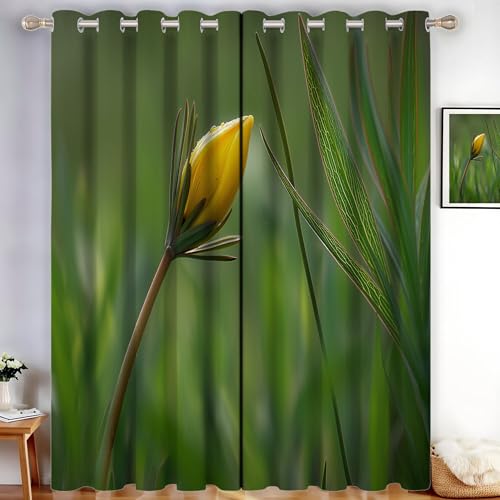 MLSOWM Vorhang Blickdicht Gelbe Knospen, Thermovorhang 2er Set H160 x B140 cm Verdunklungsvorhänge Grünes Gras Gardinen mit Ösen für Schlafzimmer Wohnzimmer, Türkis MLSOWM Vorhang Blickdicht Gelbe Knospen, Thermovorhang 2er Set H160 x B140 cm Verdunklungsvorhänge Grünes Gras Gardinen mit Ösen für Schlafzimmer Wohnzimmer, Türkis von MLSOWM