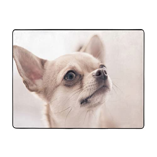 MLTRFGJ Niedliche Chihuahua-bedruckte Flanell-Bodenmatte, saugfähig und langlebig, geeignet für verschiedene Anlässe von MLTRFGJ