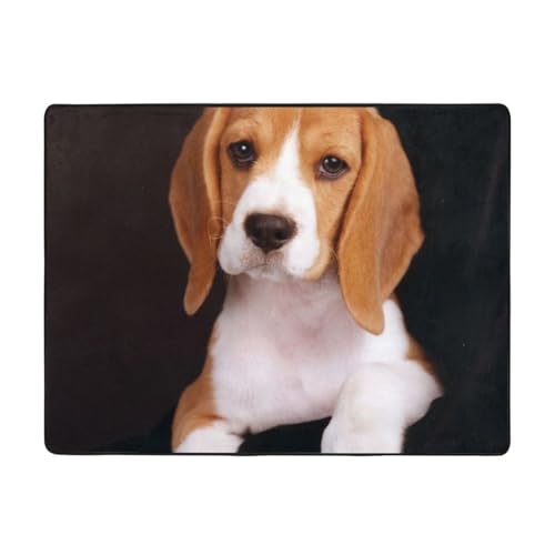 MLTRFGJ Ovely Haustier-Hunde-Bodenmatte, Beagle-Druck, Flanell, saugfähig und langlebig, geeignet für verschiedene Anlässe von MLTRFGJ