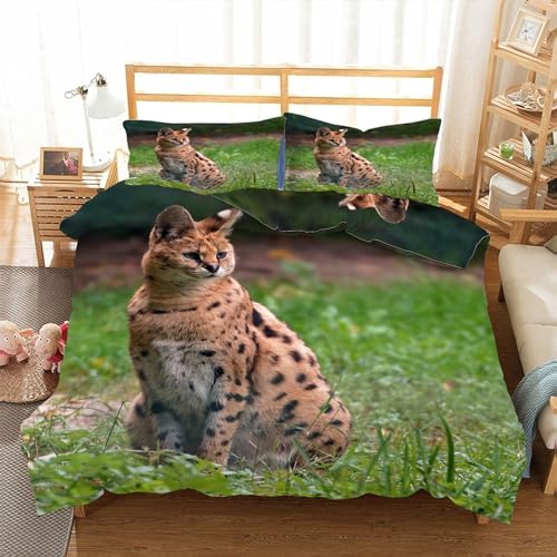 MLUNKQAIL Bettbezug 135x200 Wiese Bettwäsche Luchs Weich Atmungsaktiv Bettwäsche Set Mikrofaser Bettbezüge und 2 Kissenbezüge 80x80 cm mit Reißverschluss für Ganzjaehrig von MLUNKQAIL