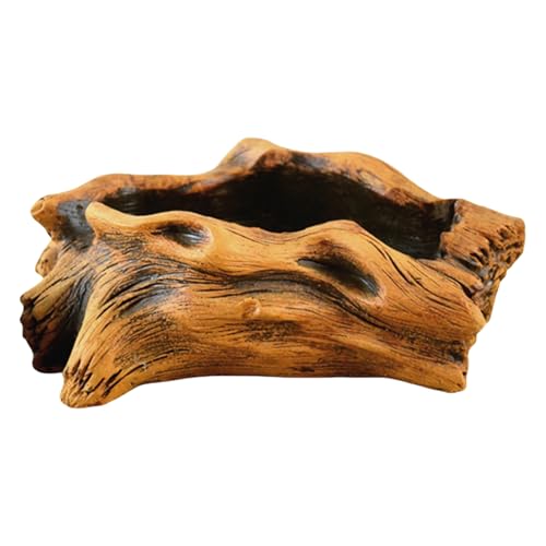 MLWSKERTY Blumenpflanzgefäßzementtöpfe Mit Baumwurzeldesigns Für Stilvolle Saftige Arrangement Home Office Dekoration Sukkulenten Blumentöpfe von MLWSKERTY