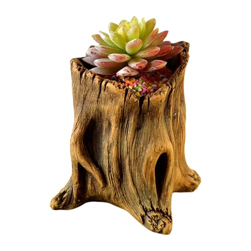 MLWSKERTY Blumenpflanzgefäßzementtöpfe Mit Baumwurzeldesigns Für Stilvolle Saftige Arrangement Home Office Dekoration Sukkulenten Blumentöpfe von MLWSKERTY
