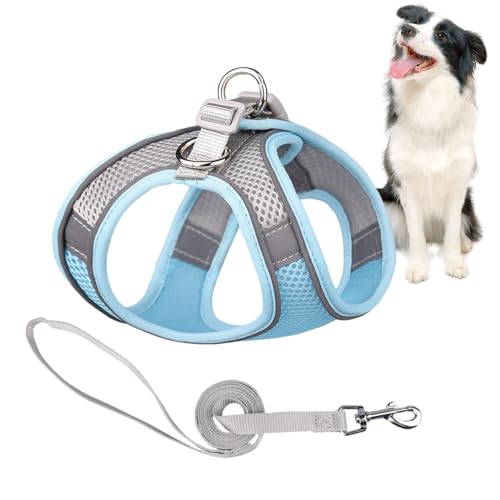 MLqkpwy Geschirr für Katzen, Geschirr für Katzen – verstellbares Westengeschirr weich – Jacke mit reflektierenden Streifen, bequeme Outdoorweste zum Gehen in der Nacht schwarz für Katzen und kleine MLqkpwy Geschirr für Katzen, Geschirr für Katzen – verstellbares Westengeschirr weich – Jacke mit reflektierenden Streifen, bequeme Outdoorweste zum Gehen in der Nacht schwarz für Katzen und kleine von MLqkpwy