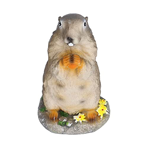 Für Harz, Groundhog kleine Ornamente - Tiermodelllandschaftsrequisiten - Harzhandwerk für Bonsai -ationen von MMABEUTF
