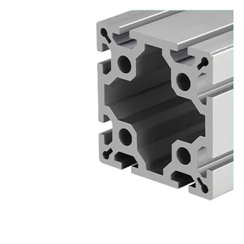 BS-10-100100 Aluminium-Linearführungs-Metallrahmen-Extrusion(200mm) von MMFURHHAY