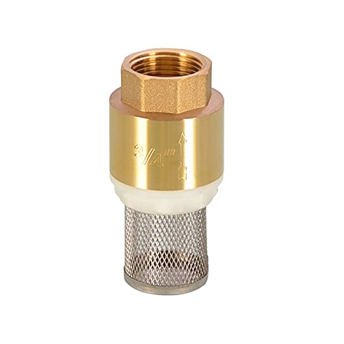 MMLFX BSPP-Rückschlagventil aus Messing mit Innengewinde 1/2"; 3/4";1" Rücklaufsperre mit Stahlsiebfilter for Wasserinstallationspumpe 1St (Size : 1l2 (Steel mesh)) von MMLFX