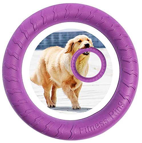 MMSGA Hunde-Fitness-Ring Hundebiss-Ring Hunde-Trainingsring, Haustier Hund Outdoor-Spiel Agility Trainingsgeräte, Tauziehen Interaktiver Trainingsring für Kleine mittelgroße Große Hunde (Lila, 30CM) von MMSGA