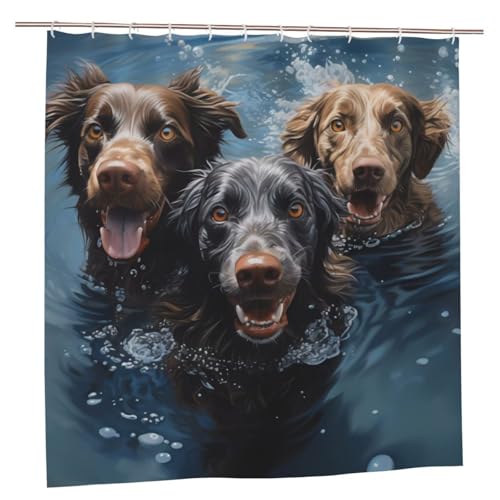 MMSJSBVY Labrador Hunde Duschvorhang 183 x 183 cm - Schimmelresistenter und wasserdichter Duschvorhang, Sichtschutz, dekorativer Vorhang für Badewannen und Duschabtrennungen von MMSJSBVY