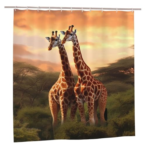MMSJSBVY Paar Giraffe Duschvorhang 183 x 183 cm - Schimmelresistenter und wasserdichter Duschvorhang Sichtschutz Dekorativer Vorhang für Badewannen und Duschabtrennungen von MMSJSBVY