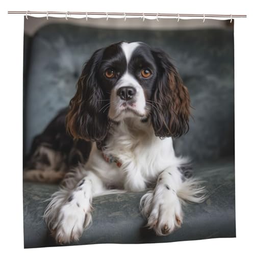 MMSJSBVY Spaniel On The Sofa Duschvorhang 183.9 cm x 183.9 cm - Schimmelresistenter und wasserdichter Duschvorhang, Sichtschutz Dekorativer Vorhang für Badewannen und Duschabtrennungen von MMSJSBVY