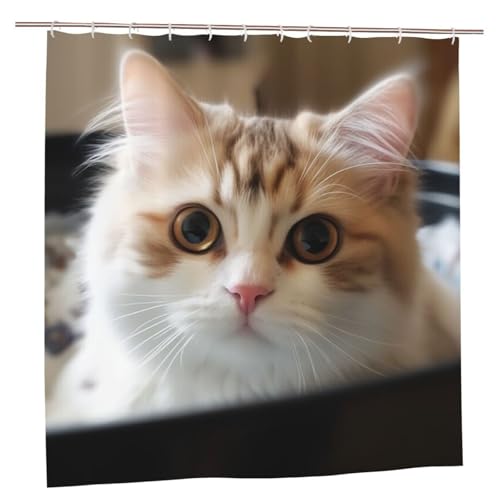 MMSJSBVY Süße Katze Duschvorhang 183.9 cm x 183.9 cm - Schimmelresistenter und wasserdichter Duschvorhang Sichtschutz Dekorativer Vorhang für Badewannen und Duschabtrennungen von MMSJSBVY