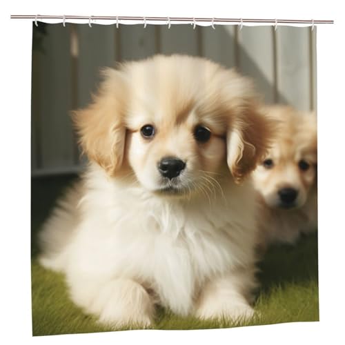 MMSJSBVY Süßer Hund Duschvorhang 183.9 cm x 183.9 cm - Schimmelresistenter und wasserdichter Duschvorhang Sichtschutz dekorativer Vorhang für Badewannen und Duschabtrennungen von MMSJSBVY