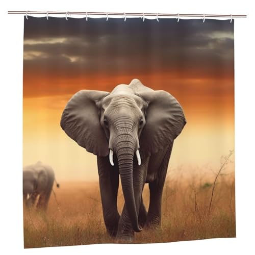 MMSJSBVY Süßer Wilder Elefant Duschvorhang 183.9 cm x 183.9 cm - Schimmelresistenter und wasserdichter Duschvorhang Sichtschutz Dekorativer Vorhang für Badewannen und Duschabtrennungen von MMSJSBVY
