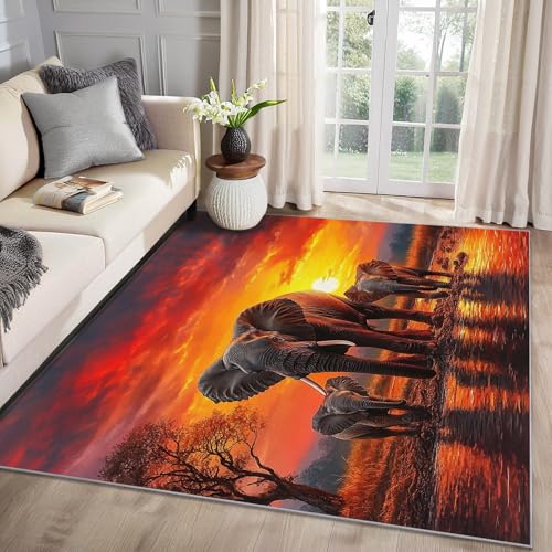 MMYAOKEN Elefant Teppich Wohnzimmer 240x340 Afrika Tiere Sonnenuntergang Deko, Großer Teppich Kurzflor, Weich rutschfest Waschbare Teppiche, Bettvorleger Schlafzimmer Kinderzimmer von MMYAOKEN