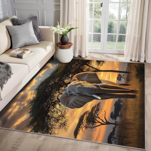 MMYAOKEN Elefant Teppich Wohnzimmer 60x90 Afrika Tiere Sonnenuntergang Deko, Kleiner Teppich Kurzflor, Weich rutschfest Waschbare Teppiche, Fußmatte Bettvorleger Schlafzimmer Kinderzimmer von MMYAOKEN