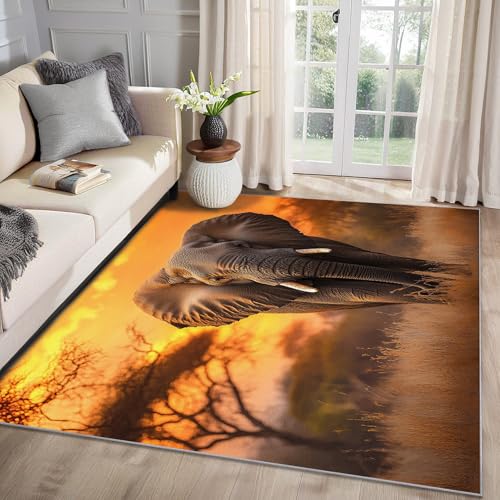 MMYAOKEN Elefant Teppich Wohnzimmer 60x90 Afrikanische Tiere Sonnenuntergang Deko, Kleiner Teppich Kurzflor, Weich rutschfest Waschbare Teppiche, Fußmatte Bettvorleger Schlafzimmer Kinderzimmer von MMYAOKEN