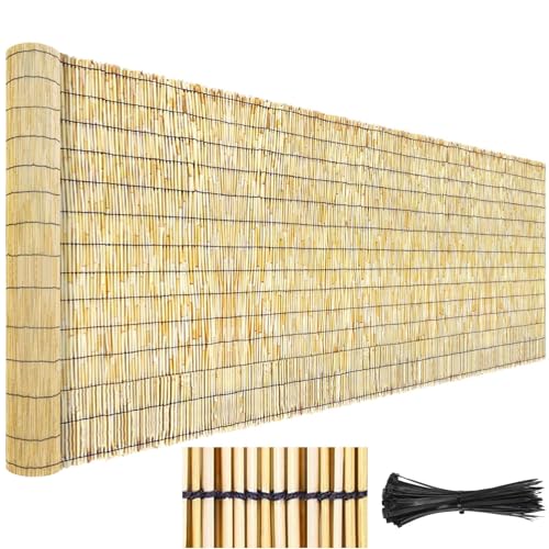 MMleYN Naturschilf-Zaunrollo, Sichtschutzzaun Für Den Außenbereich, 30cm X 300cm, 120cm × 500cm, 70cm × 700cm, Umweltfreundlicher Sichtschutz Aus Bambus Für Hinterhof, Terrasse, Garten, Balkon, Pool ( von MMleYN