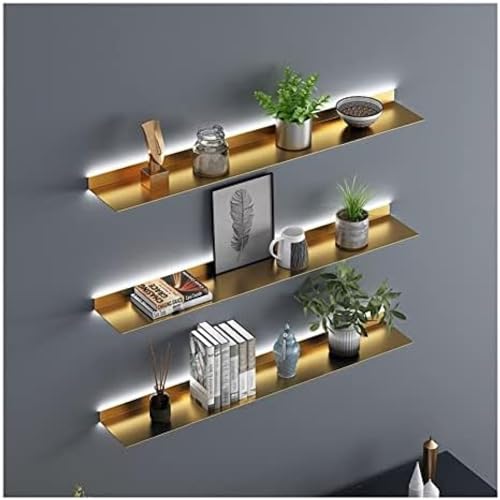 MNOIINM Schweberegale Wandmontage, beleuchtetes Wandregal Eingebautes LED-Licht Kreative Metallausstellungsregale für Pflanzenregal oder Bücherregal, Wandlagerregal enthält nur 1 Stück von MNOIINM
