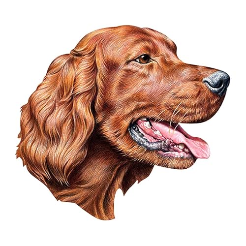 PVC 0165 Selbstklebender Aufkleber „Irish Setter“ fürs Auto, verschiedene Größen, wasserdicht, Auto-Dekoration für die Stoßstange (1) von MNQWMOU