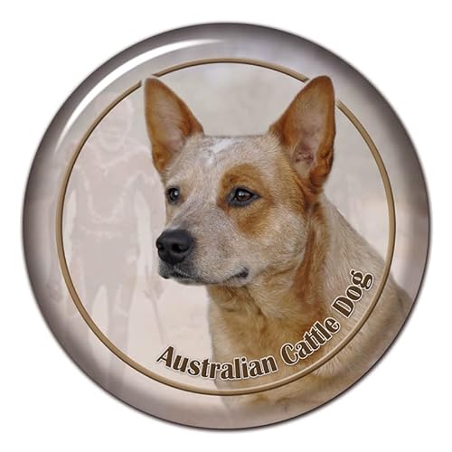 S30418 13CM 15CM 17CM PVC Aufkleber Australian Cattle Dog V2 Autoaufkleber Wasserdicht für Stoßstange Hinten von MNQWMOU