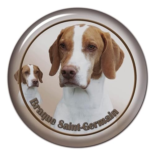 S30471 13CM 15CM 17CM PVC Aufkleber Braque Saint Germain Hund Autoaufkleber Wasserdicht für Stoßstange Hinten von MNQWMOU