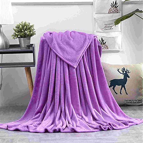 MNSYD Kuscheldecke Sofa Decken Fleecedecke Für Couch Weich Und Warm Wohndecke Flauschig Als Sofadecke Couchdecke Home Decor,Lila 1 von MNSYD