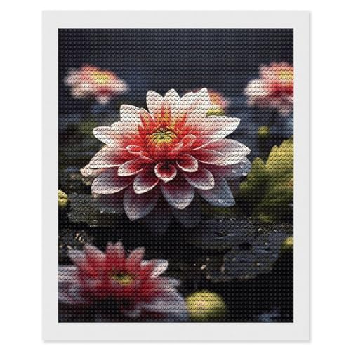 MNVTSKOP Blumen-Diamant-Malerei-Kits zum Selbermachen, personalisierte Diamant-Kunst-Sets für Erwachsene, Anfänger, Edelstein-Kunst-Kits, Basteln für Wanddekoration zu Hause MNVTSKOP Blumen-Diamant-Malerei-Kits zum Selbermachen, personalisierte Diamant-Kunst-Sets für Erwachsene, Anfänger, Edelstein-Kunst-Kits, Basteln für Wanddekoration zu Hause von MNVTSKOP