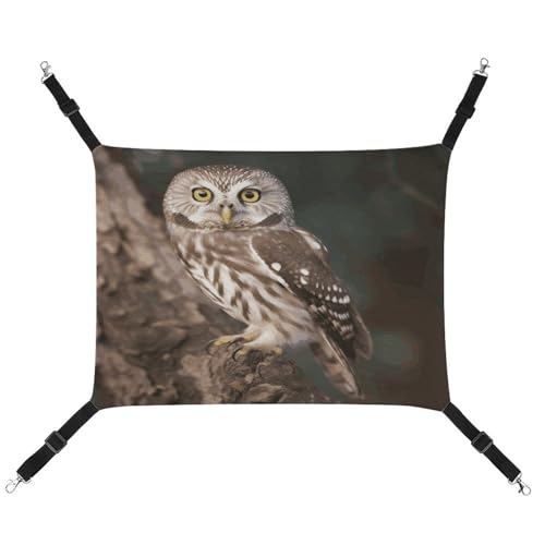MNVTSKOP Wildlife Tier Eule Haustier Hängematte Atmungsaktive Katze Hängende Hängematte mit verstellbaren Riemen und Metallhaken Plüsch Kleintier Weiches Versteck Bett für drinnen und draußen von MNVTSKOP