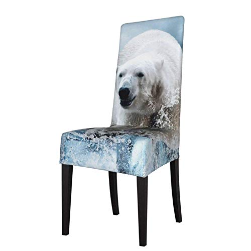 Stuhlhussen Speichern Eisbär 3D Sitzschutz Stretch Esszimmer Stuhl Schonbezug Sitzbezug für Stühle von MNXOIA