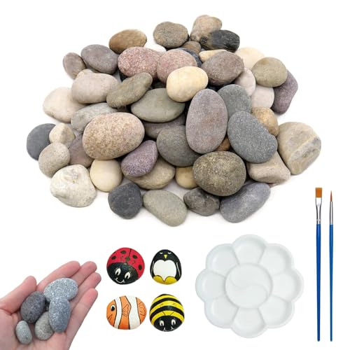40 Stück Flache Steine Zum Bemalen, 2 Pinsel Zum Bemalen, 1 Pigmentpalette, Gemalter Kieselsteine, Flache Dekosteine, Glatte Kieselsteine zum Bemalen, 1-3 Cm, Steine Zum Bemalen, Steine Bemalen Set 40 Stück Flache Steine Zum Bemalen, 2 Pinsel Zum Bemalen, 1 Pigmentpalette, Gemalter Kieselsteine, Flache Dekosteine, Glatte Kieselsteine zum Bemalen, 1-3 Cm, Steine Zum Bemalen, Steine Bemalen Set von MOAZIFI