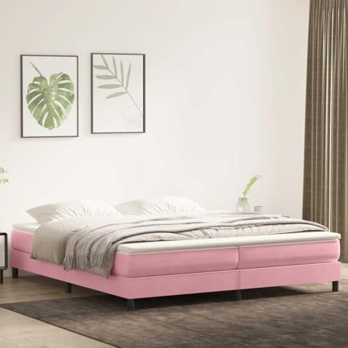 MOBCANT Boxspringbett ohne Matratze, Betten Bettgestell Doppelbett Hausbett Geeignet für Wohnungen Schlafzimmer Schulen Gästezimmer Rosa 200x210 cm Samt MOBCANT Boxspringbett ohne Matratze, Betten Bettgestell Doppelbett Hausbett Geeignet für Wohnungen Schlafzimmer Schulen Gästezimmer Rosa 200x210 cm Samt von MOBCANT