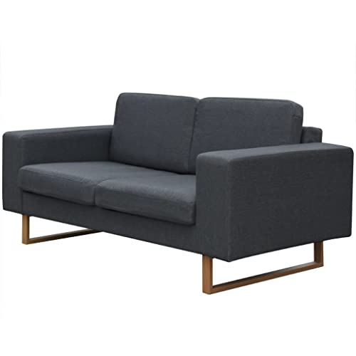 MOBCANT Sofa 2-Sitzer Stoff Dunkelgrau Sofabezug Couch Couchgarnitur Schlafcouch für Hotel Wohnung Empfangsraum Wohnzimmer von MOBCANT