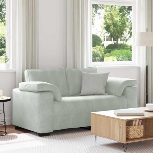MOBCANT Zweisitzer-Sofa Hellgrau 120 cm Samt Sofagarnitur Couchgarnitur Modulares Sofa Polstergarnitur für Wohnzimmer Hotel Schlafzimmer Wohnung von MOBCANT