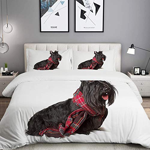 MOBEITI Bettwäsche-Set, Mikrofaser,Schottenstoff-Scottish-Terrier im roten Schal auf Hundeentzückendem Tier,1 Bettbezug 135 x 200cm+ 2 Kopfkissenbezug 80x80cm von MOBEITI