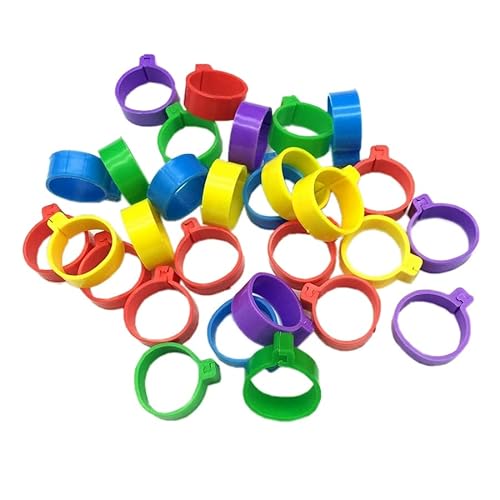 MOBUKJUU 120 Stück Innendurchmesser 20 mm Geflügelfuß Ring Schnalle Typ Clip Ringe Huhn Ente Gans Erwachsene Truthahn Geflügel Landwirtschaft Ausrüstung MOBUKJUU 120 Stück Innendurchmesser 20 mm Geflügelfuß Ring Schnalle Typ Clip Ringe Huhn Ente Gans Erwachsene Truthahn Geflügel Landwirtschaft Ausrüstung von MOBUKJUU