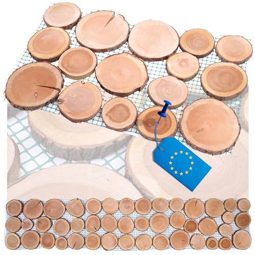 MODO24 Gartenweg aus Holz, 1 Modul, Gehwegplatte, Gehweg aus Schwarzkirsche-Scheiben, Gehplatten, Holzscheiben, Holzplatten, Gartenplatten, Beetplatten, Weg Holzpfad, FSC-Holz, Modulmaß 80x50x2 cm von MODO24
