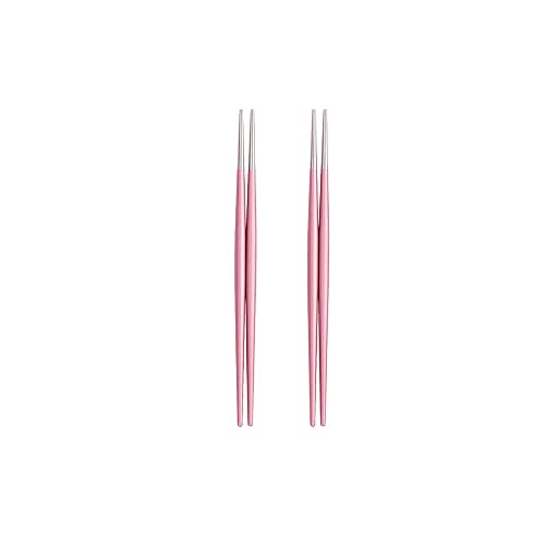 MOEIDO Essstäbchen 2Pairs 304 Edelstahlstäbchen, rutschfeste spitze Essstäbchen, Küchenutensilien wiederverwendbare Metall-Essstäbchen, Sushi-Geschirr ( Color : Pink silver ) von MOEIDO