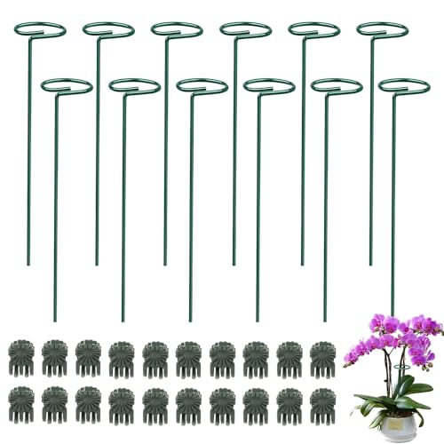 MOERAE Pflanzenstütze Set - 12 Stück 30cm Stahl Staudenhalter mit 20 Pflanzenclips, grün beschichtet für Innen- und Außenbereich, ideal als Rankhilfe Zimmerpflanzen und Monstera Rankhilfe. von MOERAE