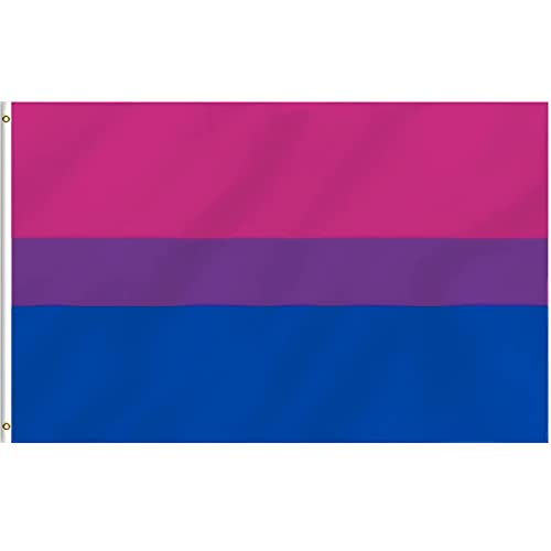 MOGADEE Bi Flagge, 90 * 150cm Bisexual Flag mit Wetterschutz und UV-Schutz, Bisexuelle Pride Flag geeignet für Indoor und Outdoor LGBTQ Flagge Festival Feiern, Paraden und Dekorationen (Bisexuelle) von MOGADEE