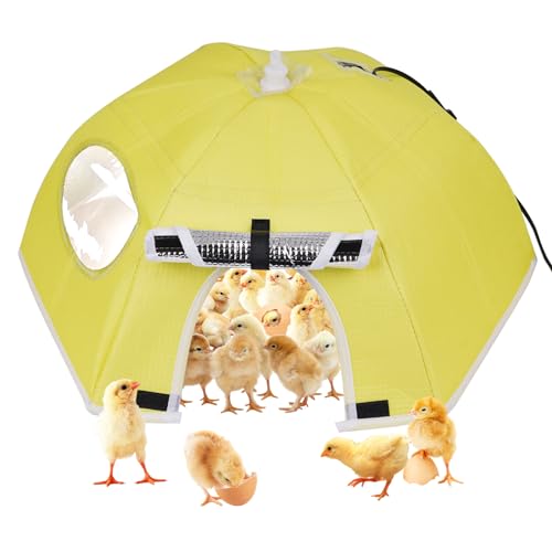 MOGOULUA Hühnerstall Heizung 80W Wärme Hühner 80℃ Küken Brooder Heizzelt für Hühnerstall Inkubator Brutautomat für Hühner Geflügel Faltbares Heizzelt für Enten Kätzchen Welpen Haustiere MOGOULUA Hühnerstall Heizung 80W Wärme Hühner 80℃ Küken Brooder Heizzelt für Hühnerstall Inkubator Brutautomat für Hühner Geflügel Faltbares Heizzelt für Enten Kätzchen Welpen Haustiere von MOGOULUA