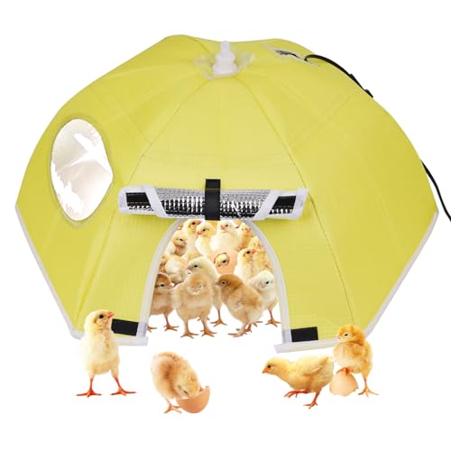 MOGOULUA Hühnerstall Heizung 80W Wärme Hühner 80℃ Küken Brooder Heizzelt für Hühnerstall Inkubator Brutautomat für Hühner Geflügel Faltbares Heizzelt für Enten Kätzchen Welpen Haustiere von MOGOULUA