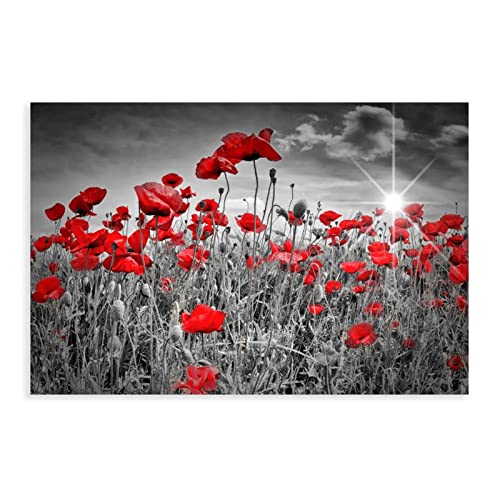 MOIT Idyllisches Feld der Mohnblumen, Kunst, Leinwand, Poster, Wandkunst, Dekoration, Bild für Wohnzimmer, Schlafzimmer, Dekoration, Rahmen-Stil, 30 x 45 cm MOIT Idyllisches Feld der Mohnblumen, Kunst, Leinwand, Poster, Wandkunst, Dekoration, Bild für Wohnzimmer, Schlafzimmer, Dekoration, Rahmen-Stil, 30 x 45 cm von MOIT