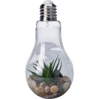 Led Glas Glühbirne zum Hängen mit Pflanze-D773752-2 von MOJAWO