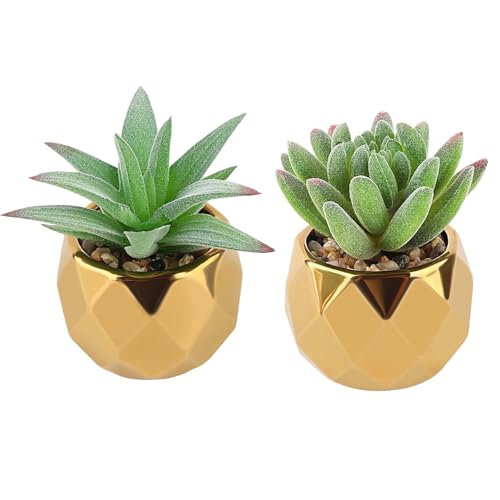 MOKIDO 2 Stück Sukkulenten Künstlich, Künstliche Pflanzen, Deko Pflanzen, Künstliche Pflanzen Klein im Keramik Topf, Fake Plants für Schlafzimmer, Wohnzimmer, Badzimmer und Schreibtisch(Grün) von MOKIDO