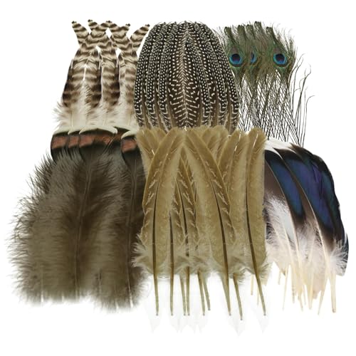 MOLIMOLI 48 Stück Bastelfedern Dekorationen,natürliche Federn zum Basteln, Pfauenfedern & Feather-Deko für Hochzeitsfeier, Ostereier Deko, DIY-Schmuck, Truthahnhut-Deko MOLIMOLI 48 Stück Bastelfedern Dekorationen,natürliche Federn zum Basteln, Pfauenfedern & Feather-Deko für Hochzeitsfeier, Ostereier Deko, DIY-Schmuck, Truthahnhut-Deko von MOLIMOLI
